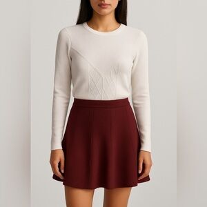 Zara Maroon A-Line Skirt